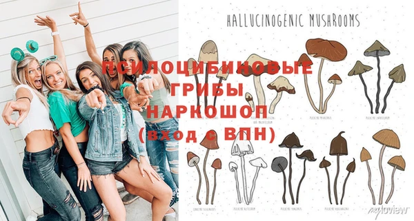 кристаллы Покачи