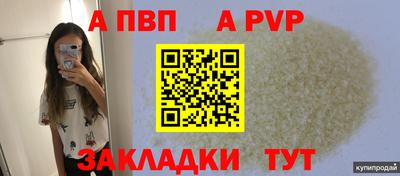 прущие грибы Малгобек