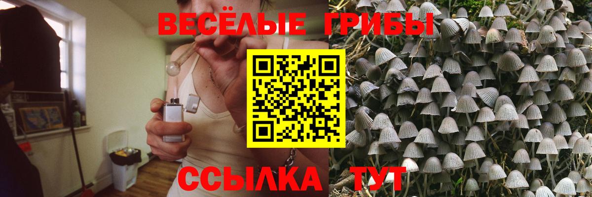 Псилоцибиновые грибы MAGIC MUSHROOMS  Вход с VPN  наркота  Советск 