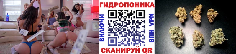 Каннабис планчик  Советск 